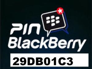 mengetahui-pin-blackberry-disuspend